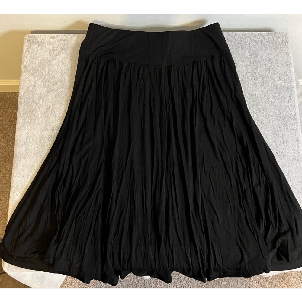 Lot of 2 Black Midi skirts Hilary Radley Black LARGE/10 - Picture 8 of 11
